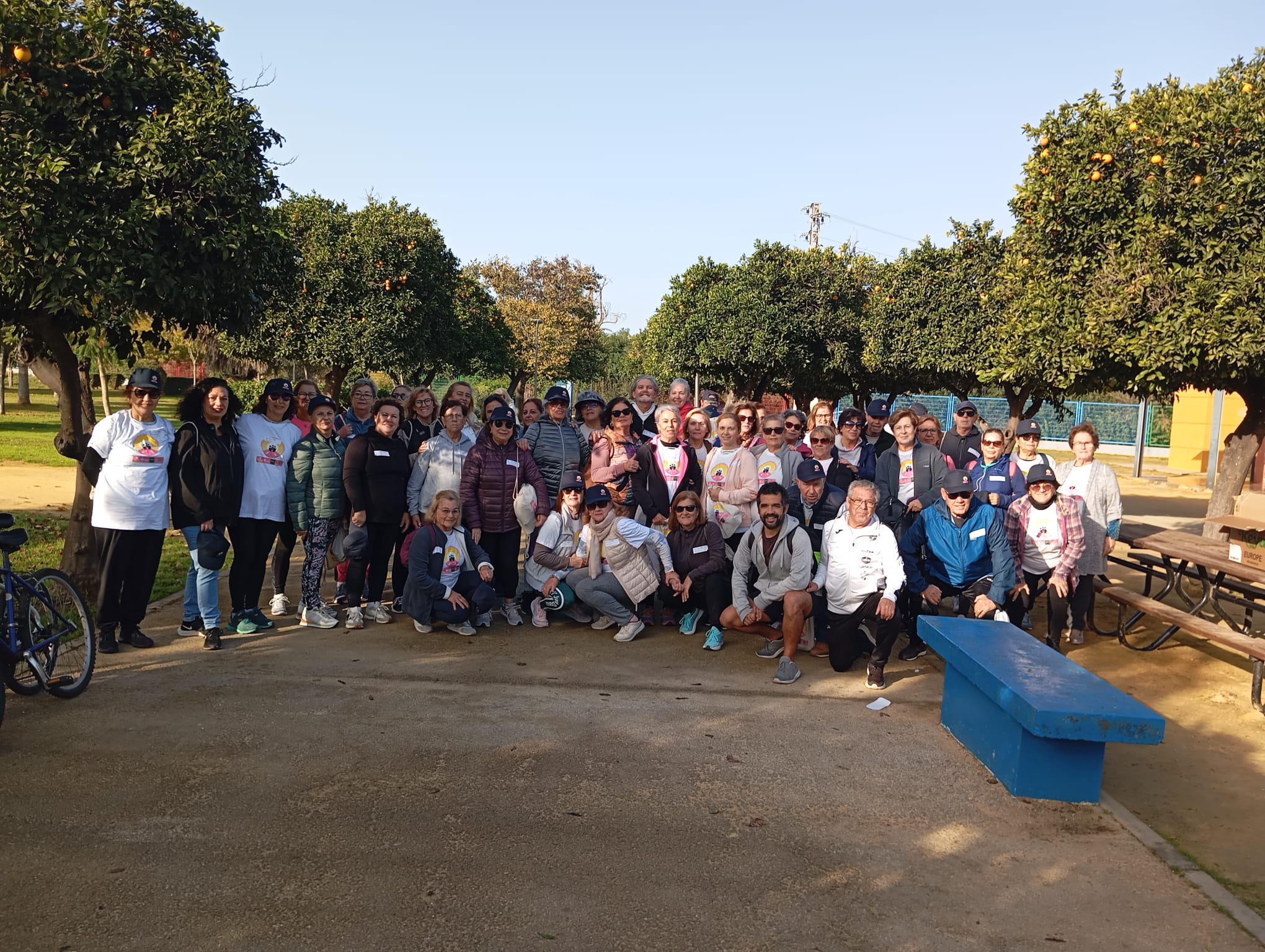 WhatsApp Image 2025-02-04 at 09.03.33