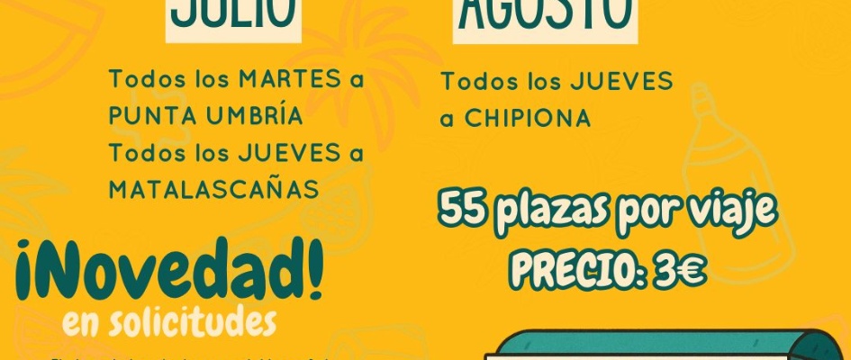 bus del verano