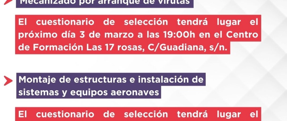 plan de formación (2)